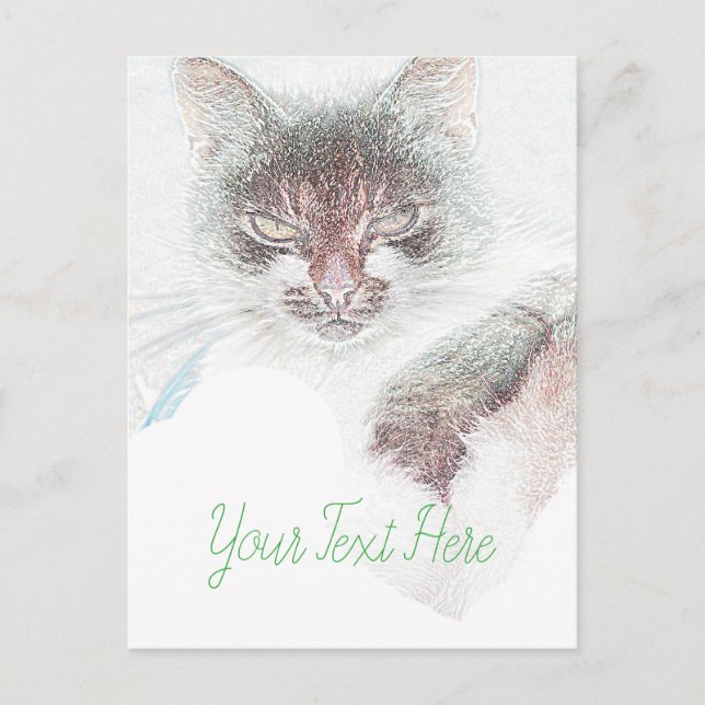 Angry Cute Cate Face Sketch Postcard (Front)