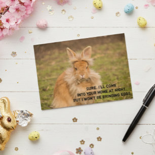Angry Easter Bunny Funny Humor Greeting Card