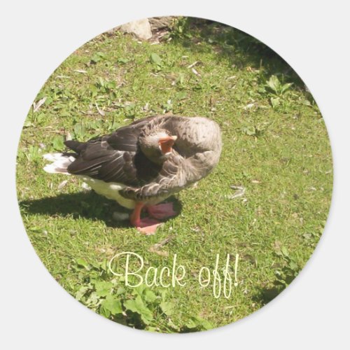 Angry Goose Back Off Stickers