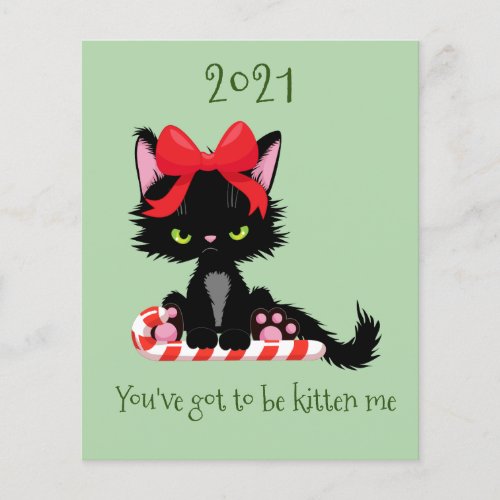 Angry Grumpy Cat 2020 Kitten Me Pun Budget Flyer