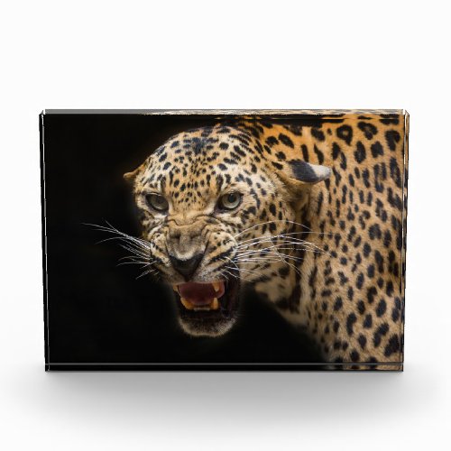 Angry Leopard  Photo Block