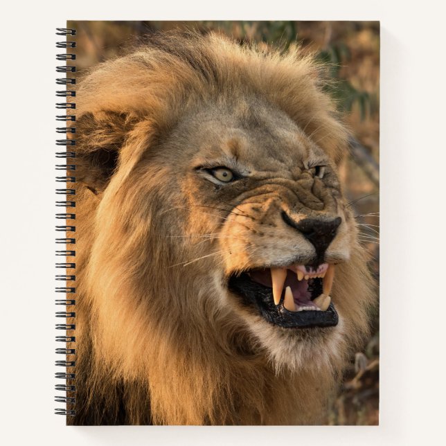 Angry Lion Personalize Name  Notebook (Front)