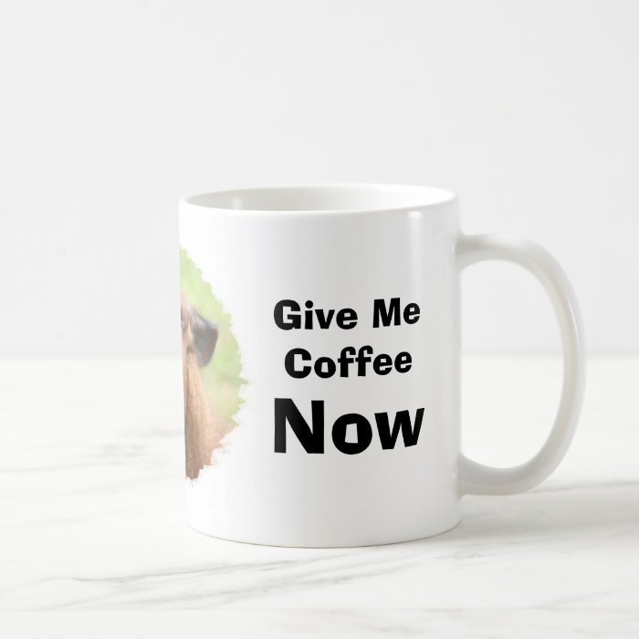 Angry Llama Coffee Humor Funny Mug