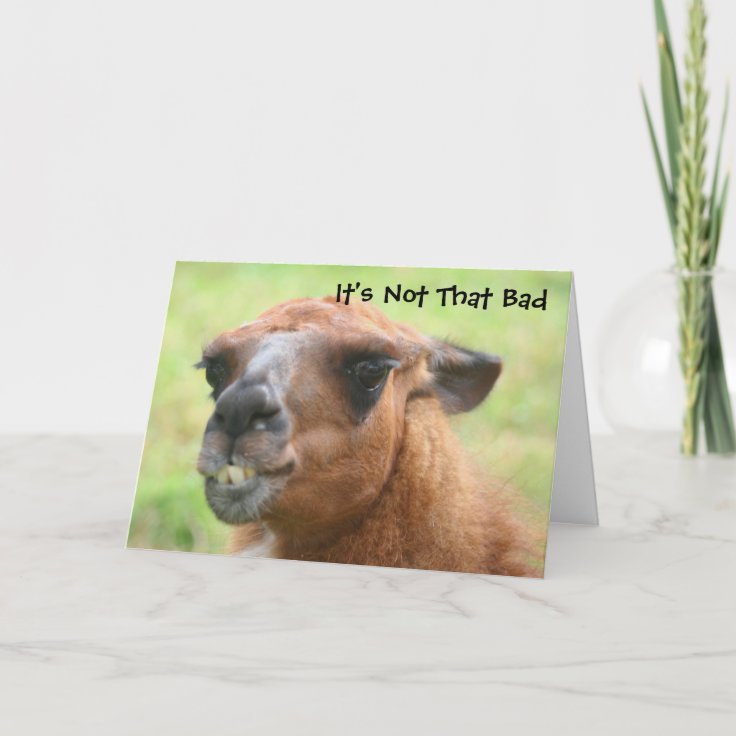 Angry Llama Humorous 30th Birthday Card | Zazzle