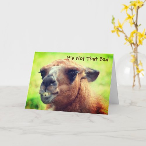 Angry Llama Humorous Another Birthday  Card
