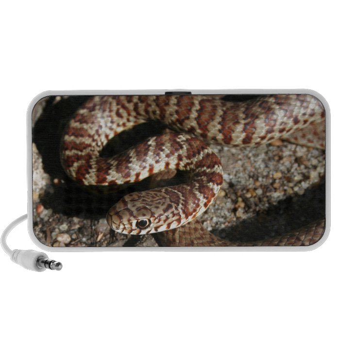 Angry Looking Snake Portable Speakers