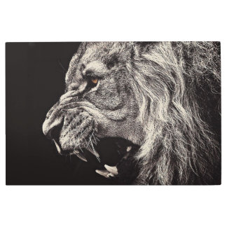 Angry Male Lion Metal Print