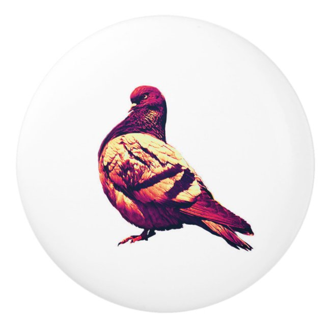Angry pigeon - humorous bird pic ceramic knob (Front)