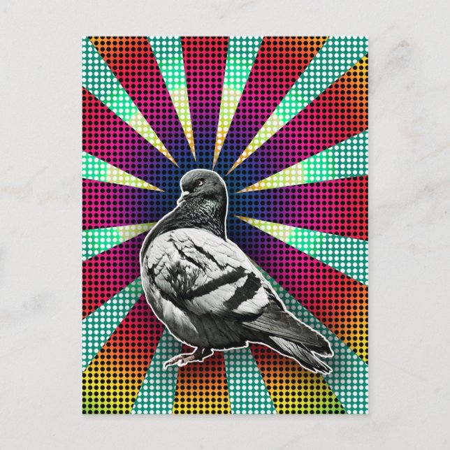Angry Pigeon Postcard (Front)
