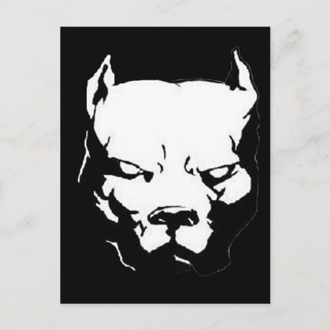 Angry Pitbull Dog Postcard (Front)