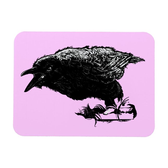 Angry Raven in Black Pick Your Background Magnet (Horizontal)