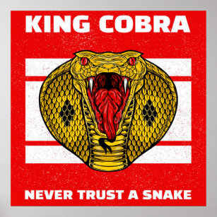Angry Snake   Cobra Animal   Snake Lovers Poster