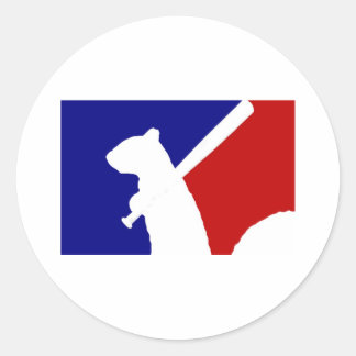 Angry Squirrel Classic Round Sticker