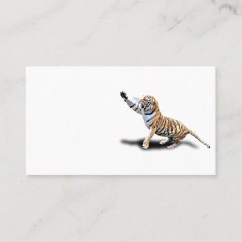 Angry Tiger Business Card by CNelson01 at Zazzle