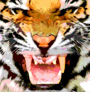 angry tiger eyes gifts