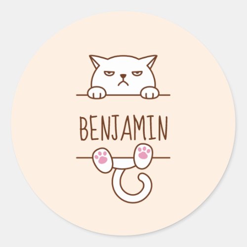 Angry White Cat Beige Custom Name Classic Round Sticker