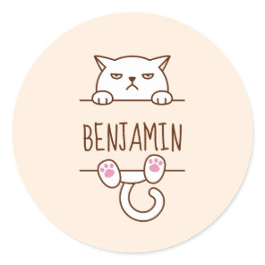 Angry White Cat Beige Custom Name Classic Round Sticker