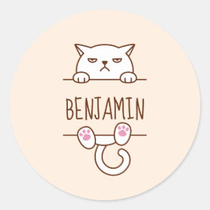 Angry White Cat Beige Custom Name Classic Round Sticker