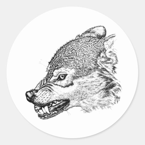 Angry Wolf Showing Teeth Animal Wildlife Art Classic Round Sticker