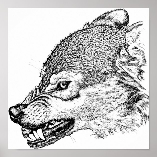 How To Draw An Angry Wolf, Step by Step, Drawing Guide, by makangeni -  DragoArt