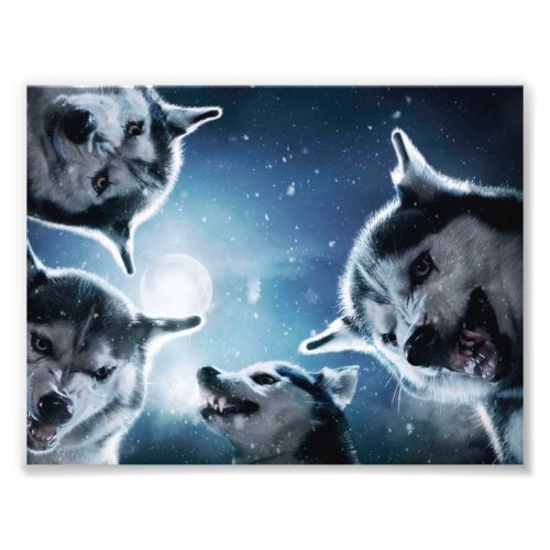 Angry wolves and the moon photo print