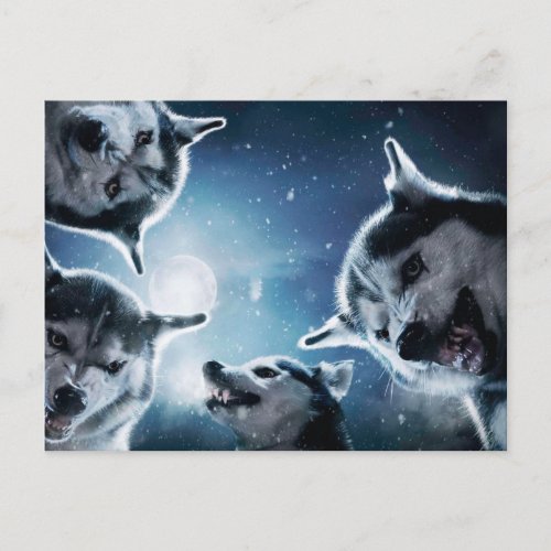 Angry wolves and the moon postcard