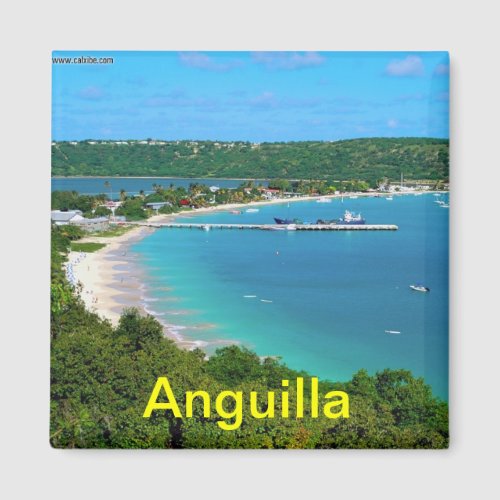 Anguilla magnet