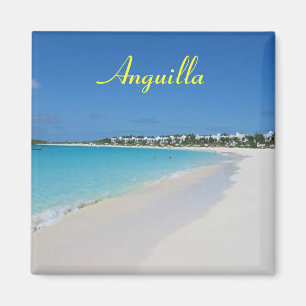 Anguilla magnet