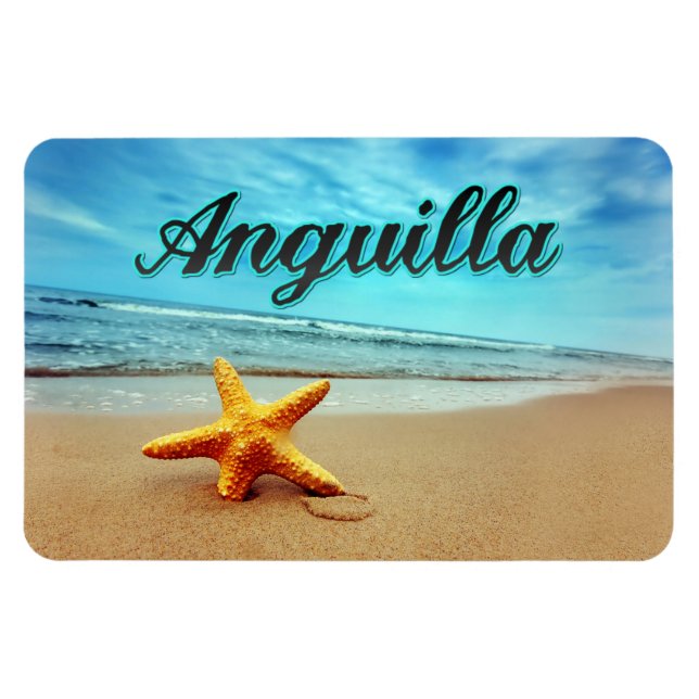 Anguilla starfish magnet (Horizontal)