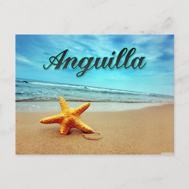Anguilla starfish postcard (Front)