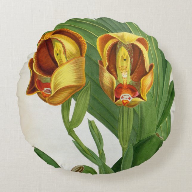 Anguloa Ruckerii Sanguine Lindenia Orchid Round Pillow (Front)