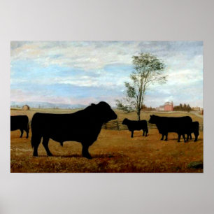 Angus cattle on the farm poster