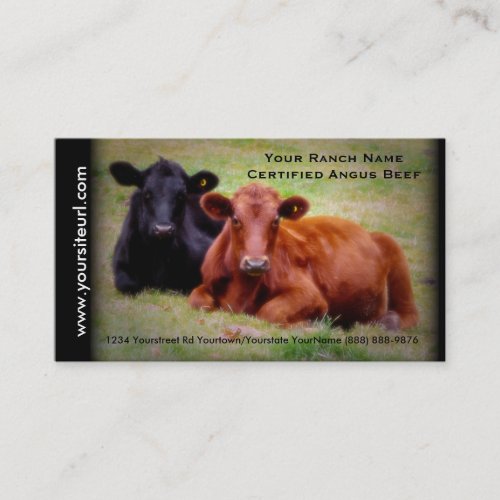Angus Cattle Photo for  Beef Ranch or Farm Business Card