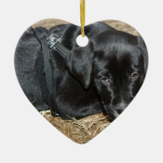 Angus Ceramic Ornament