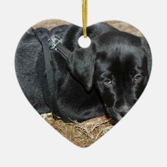 Angus Ceramic Ornament (Front)