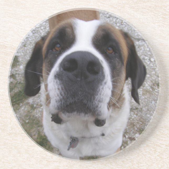 Angus Coaster (Front)