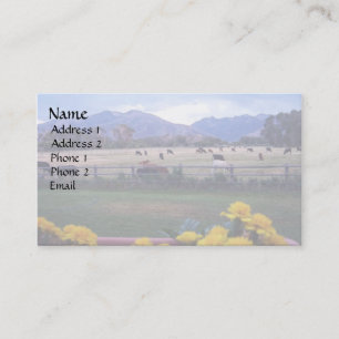 Angus On Pasture Business Card