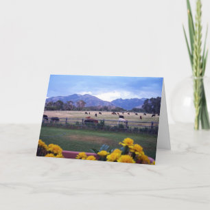 Angus On Pasture Letterpress Thank You Card