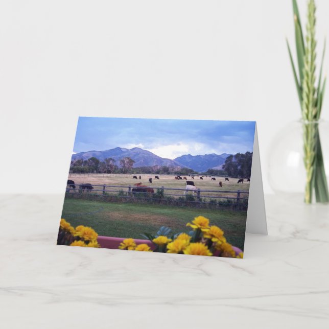 Angus On Pasture Thank You Card (Front)