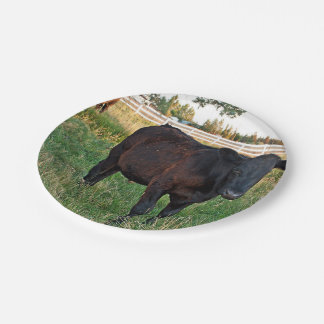 Angus steer in green fields paper plates