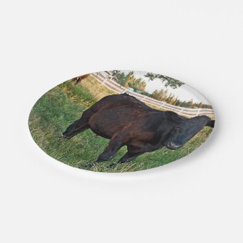 Angus Steer In Green Fields Paper Plates by LifeCollection at Zazzle