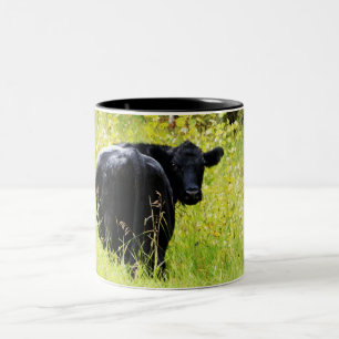 Angus Steer in Tall Yellow Grass Two-Tone Coffee Mug