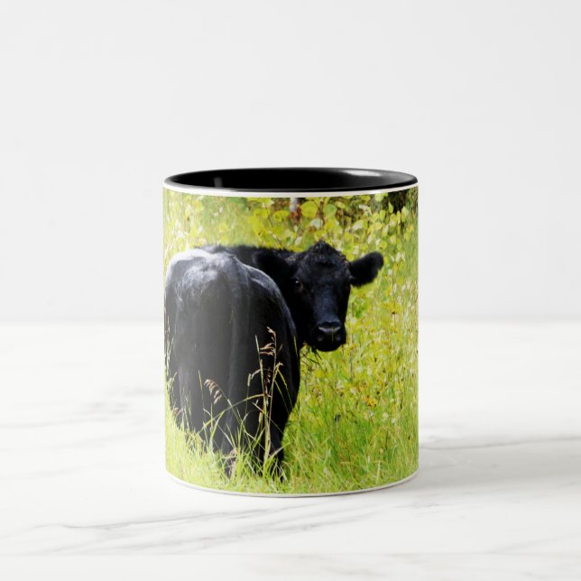 Angus Steer in Tall Yellow Grass Two-Tone Coffee Mug (Center)