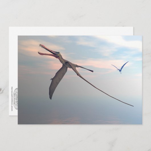 Anhanguera prehistoric birds (Front/Back)