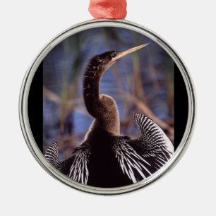anhinga and wings metal ornament