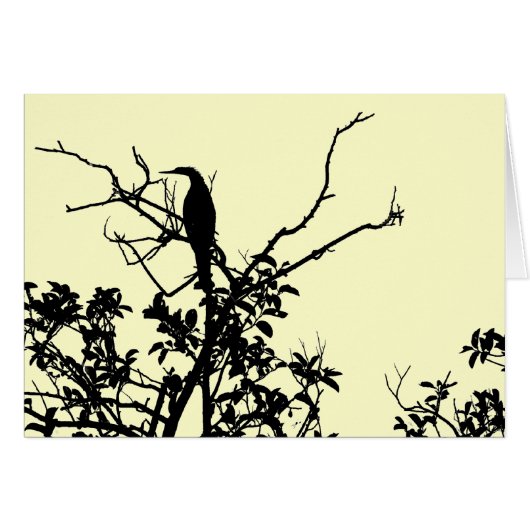 Anhinga Bird Cards (Front Horizontal)