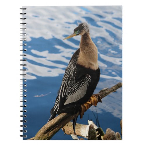 Anhinga Bird Photo Spiral Notebook