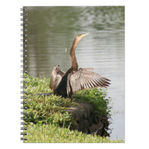Anhinga Bird Spiral Photo Notebook