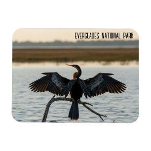 Anhinga Everglades National Park Magnet