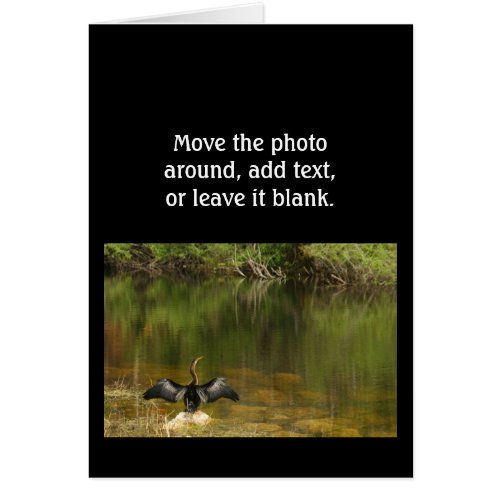 Anhinga in the Everglades _ Business Card